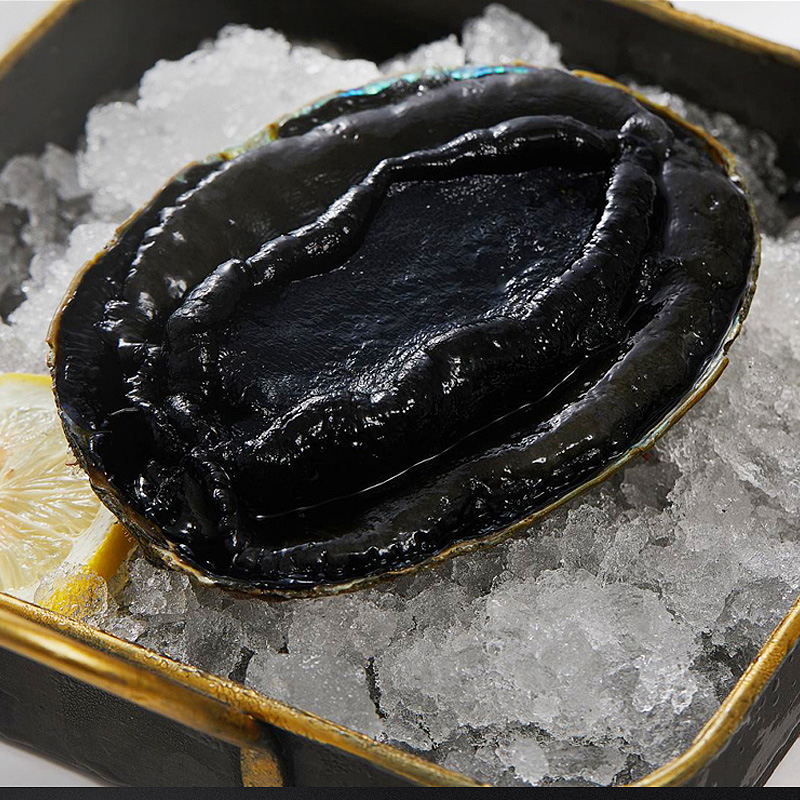 今嘉黑金鲍原生态 大鲍鱼整只 新西兰深海活捕大鲍鱼冷冻锁鲜