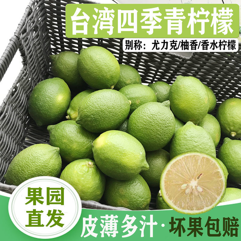 现摘台湾四季青柠檬尤力克皮薄多汁水果新鲜香水柠檬批发奶茶3斤