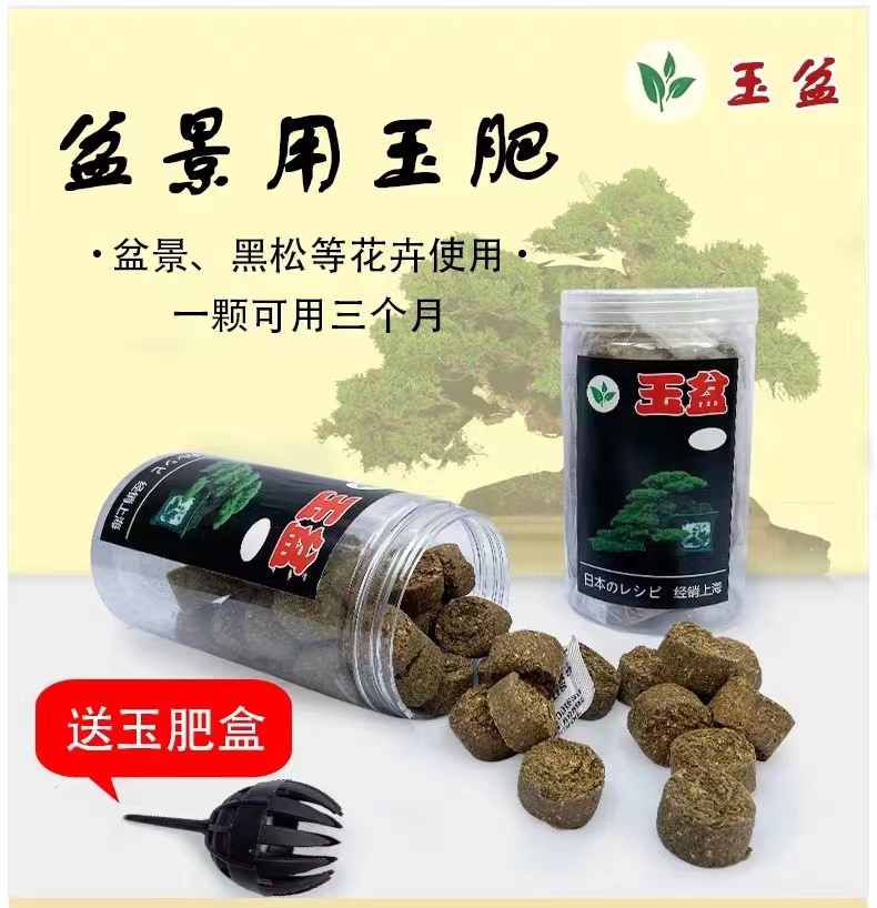 盆景专用玉肥盆景黑松花卉使用 粉丝专供