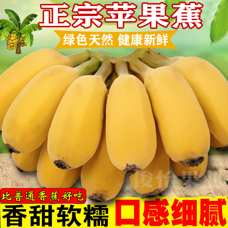 正宗苹果蕉香甜软糯广西批发香蕉芭蕉应季新鲜水果产地直发5/9斤