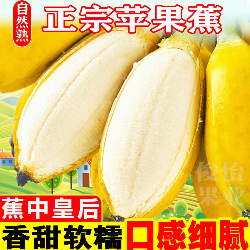 【俊怡果业】正宗广西苹果蕉新鲜5斤应季水果甜香蕉西贡粉蕉批发