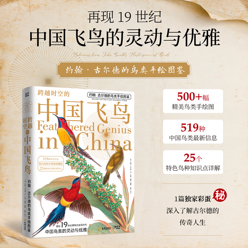 跨越时空的中国飞鸟 附赠装裱画 鸟类经典