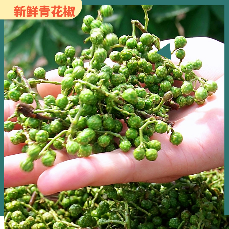 【餐饮囤货价】重庆江津九叶青保鲜花椒350g/袋调味青花椒粒