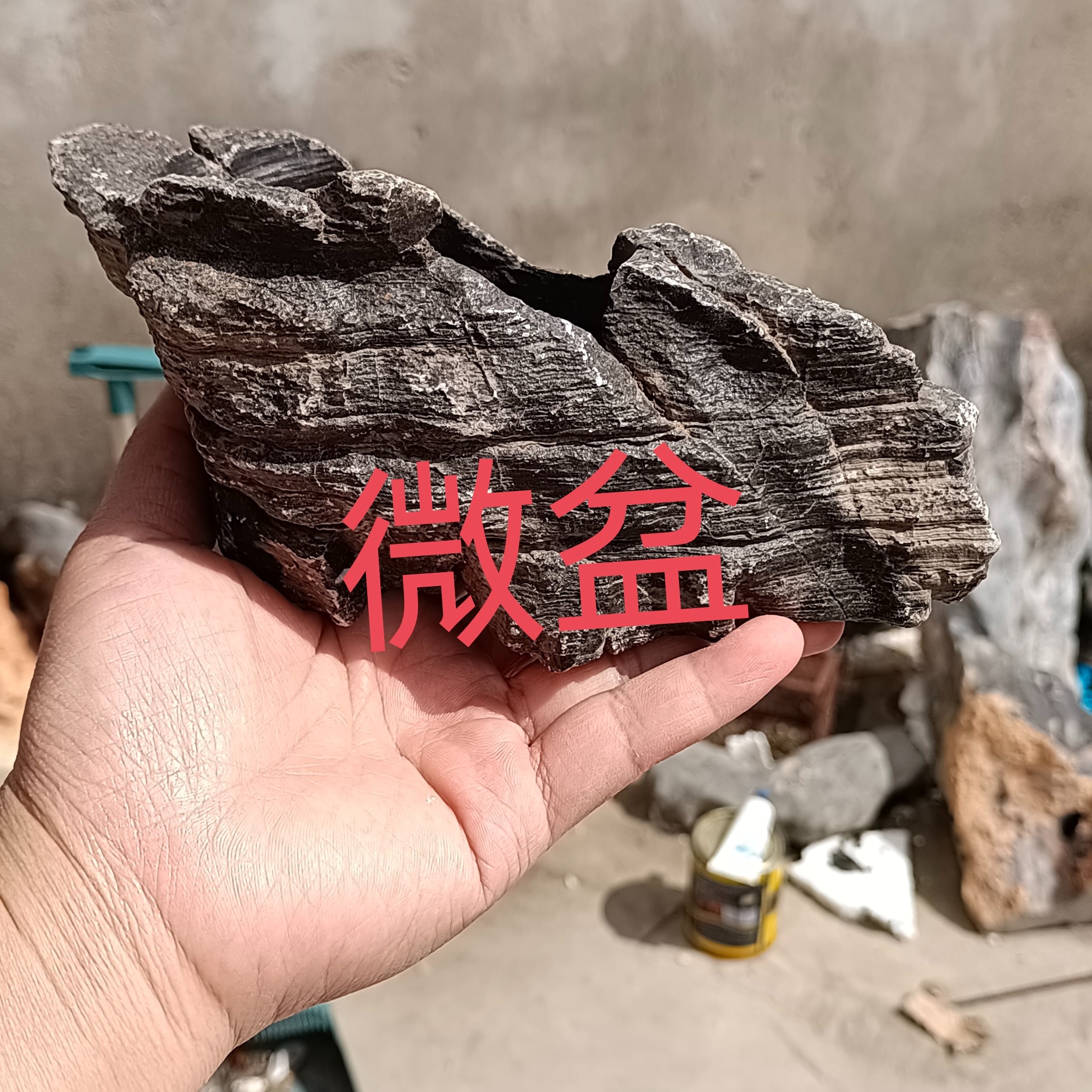 灵璧石头花盆菖蒲多肉花盆