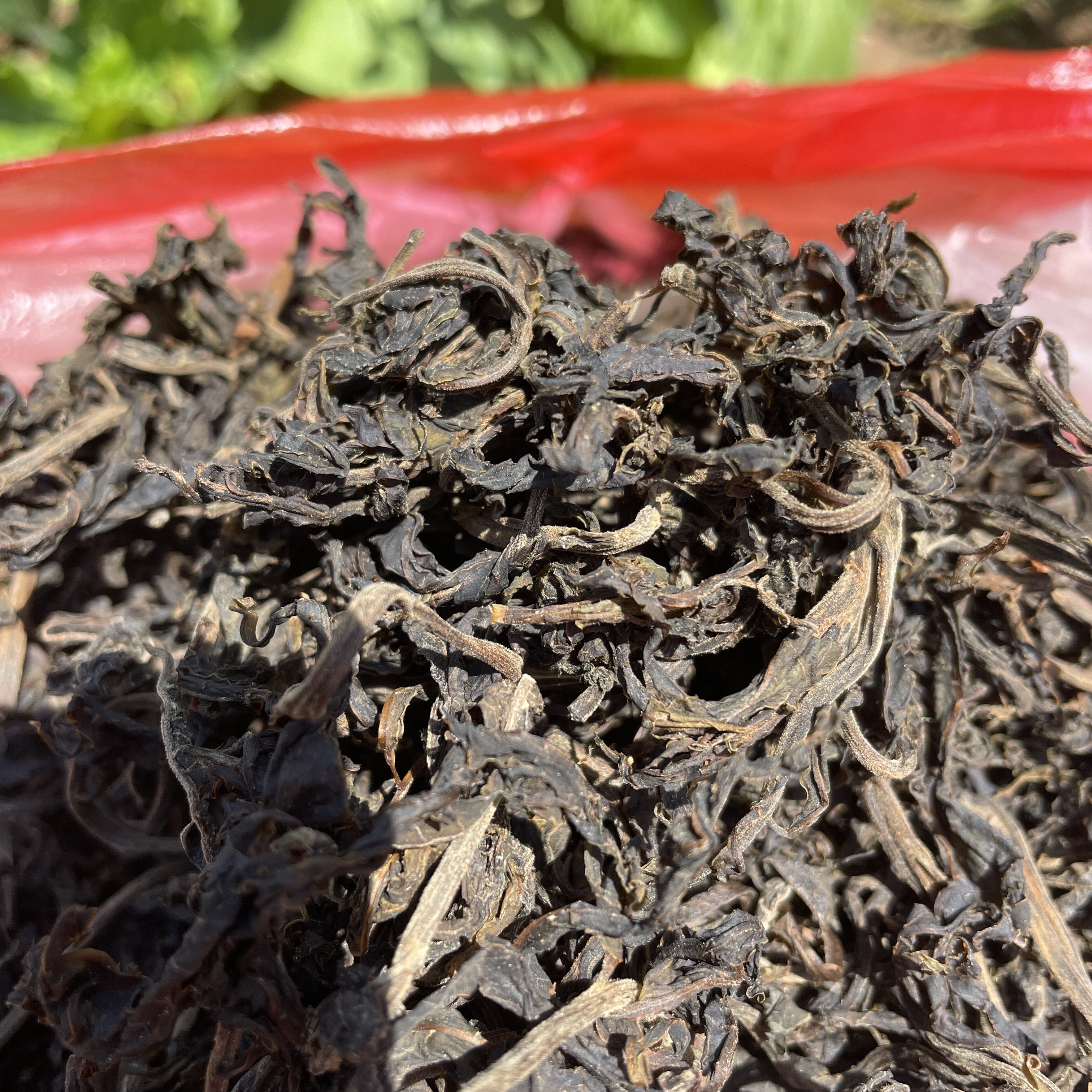 湖北保康干香椿芽自晒干香椿500g