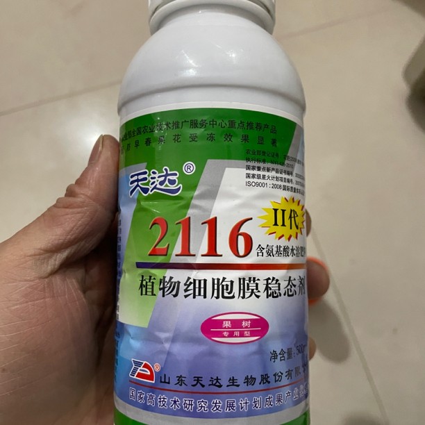 叶面肥天达2116，防寒防冻，提高座果率