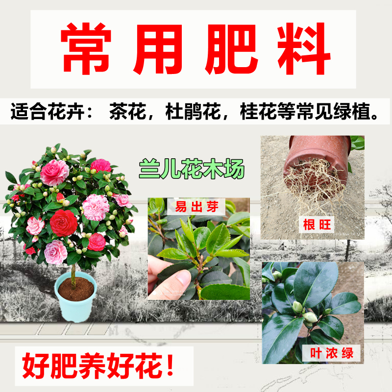 茶花专用肥料进口通用型奥绿缓释肥养花复合肥颗粒促结花苞高磷肥