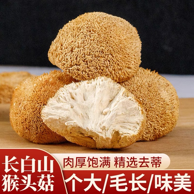 猴头菇长白山暖胃无硫500克特产菌菇农家煲汤
