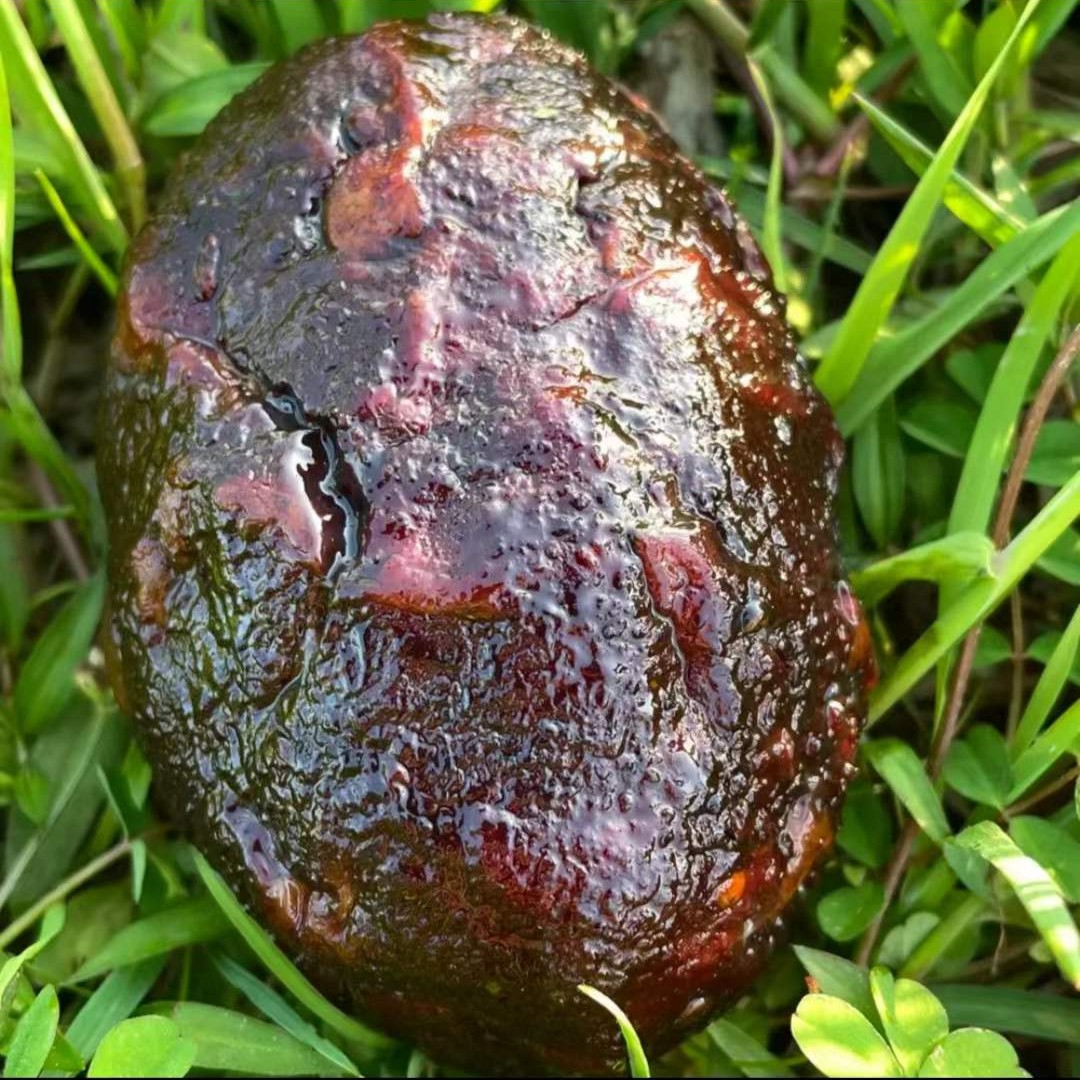 【五花肉猪血丸子】湖南邵阳特产手工血豆腐正宗手工猪血粑丸子200g