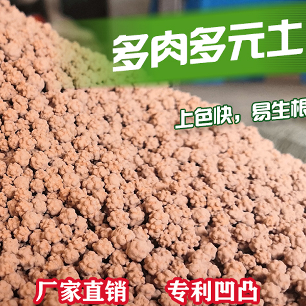 多元土多肉专用土颗粒土营养土透气无虫卵无病菌防治根系黑腐铺面