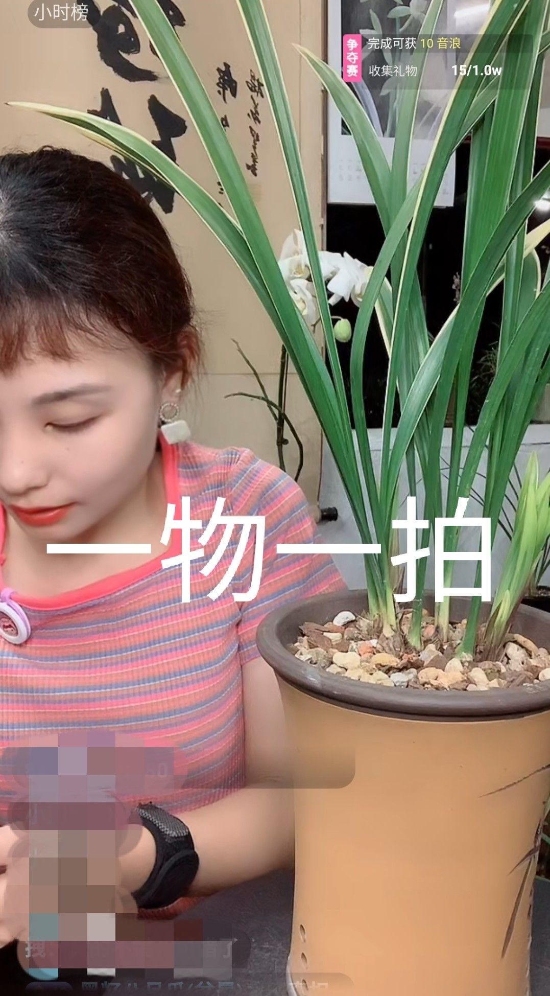 值奉精品兰花直播间链接，脱盆裸根发货！自行下单随机发货