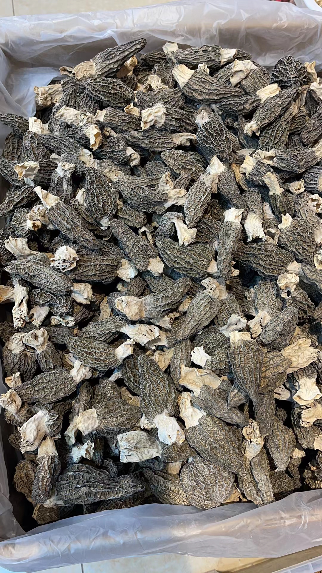 长白山地产羊肚菌