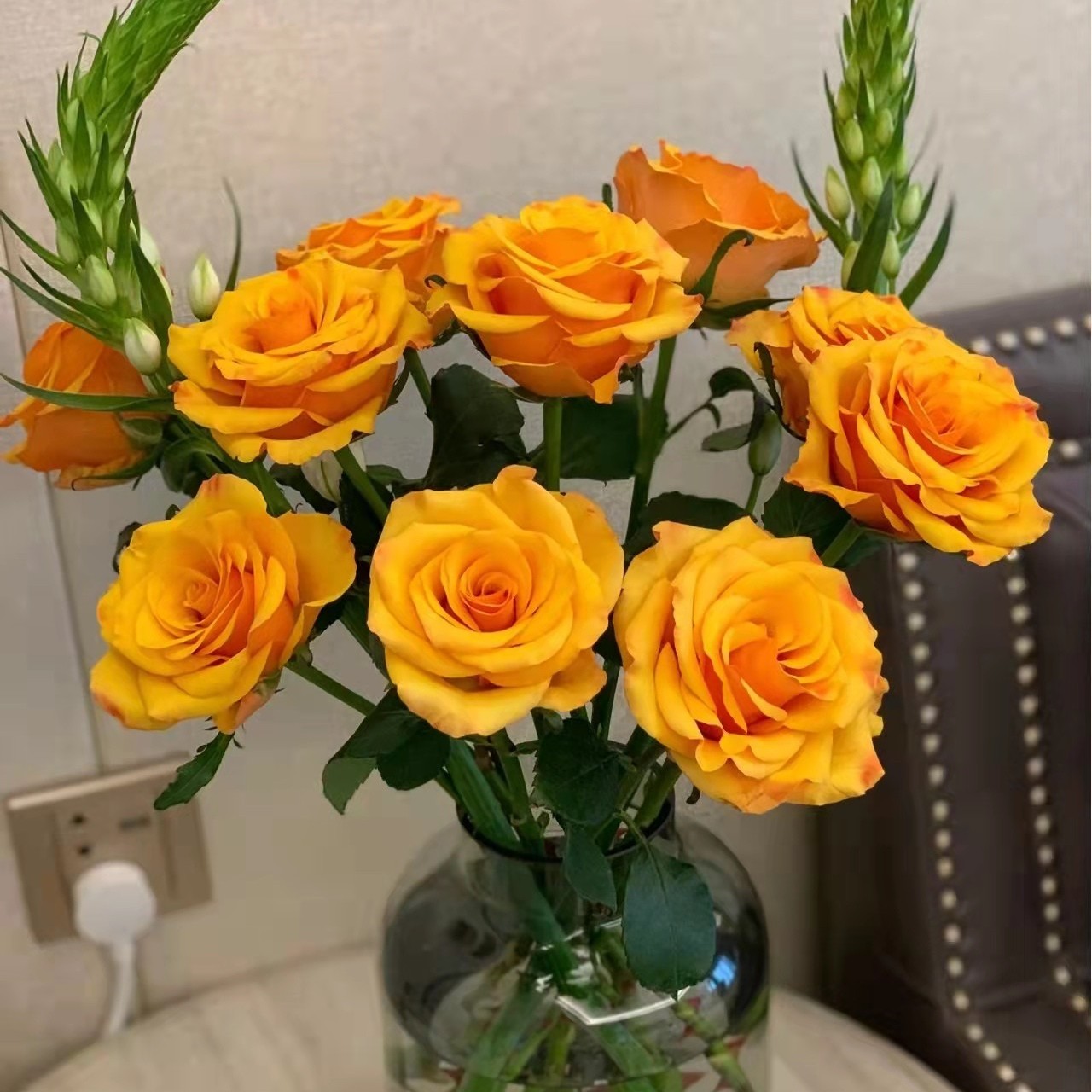 【优选】单头辉煌玫瑰 店内现货包邮