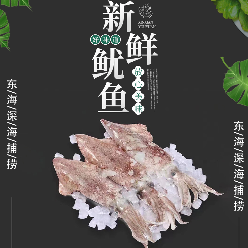 彬哥Bingo东海特大鱿鱼特枪乌贼火箭鱿不泡水鱿鱼1500g