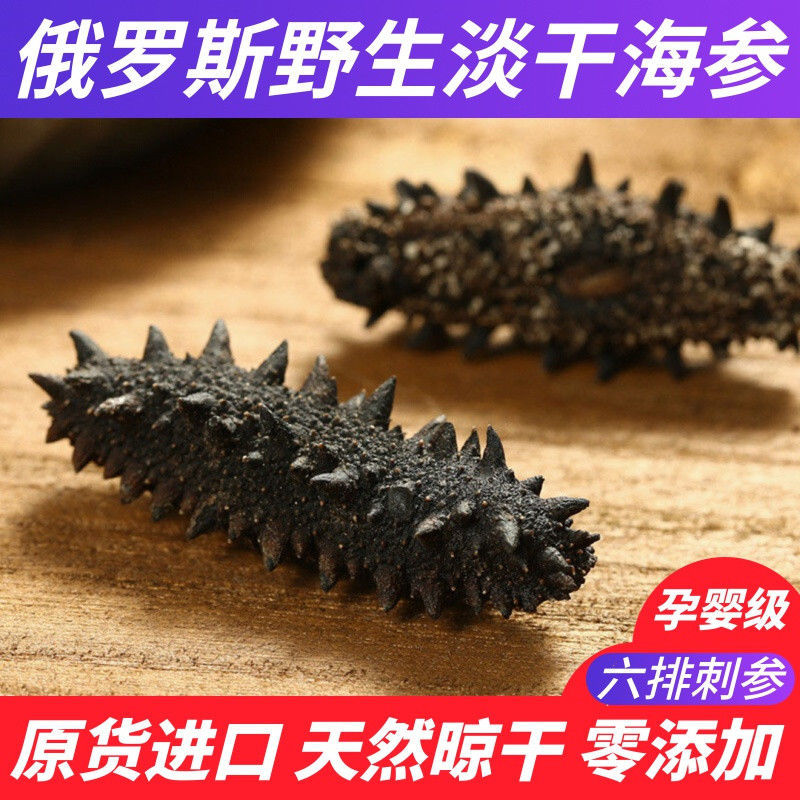 俄罗斯海参85干原货进口野生二红参萨哈林岛六排刺参淡干无添加