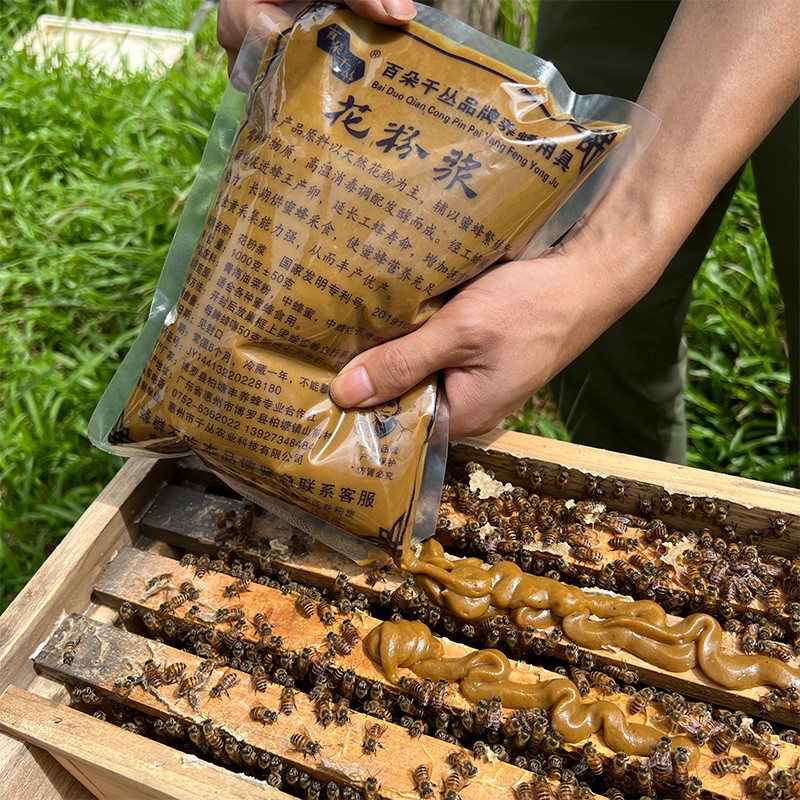 百朵千丛蜜蜂花粉浆中蜂专用促进蜂王产卵增加工蜂抚慰幼虫能力