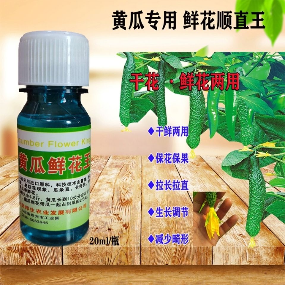 黄瓜专用蘸花药 鲜花王黄瓜拉直灵大鲜花药沾花叶面肥 黄瓜沾花药