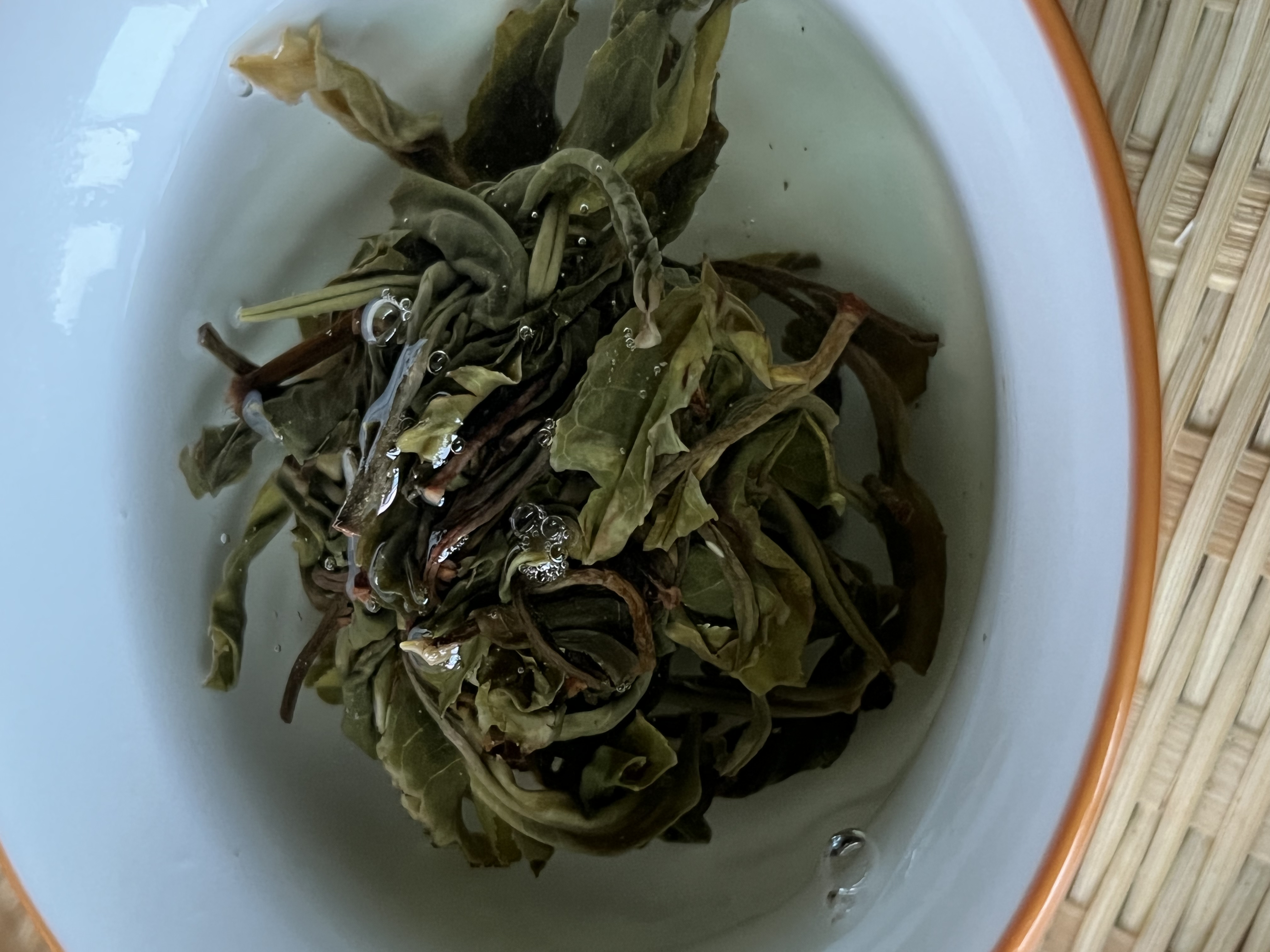 2021年正气塘古树龙珠