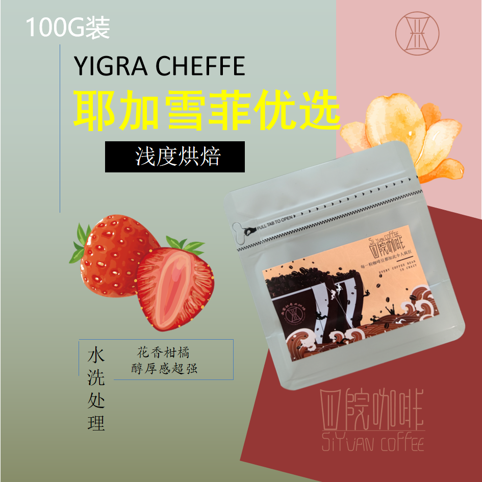 耶加雪菲 优选 埃塞俄比亚 浅度烘焙 水洗处理 咖啡豆 100g