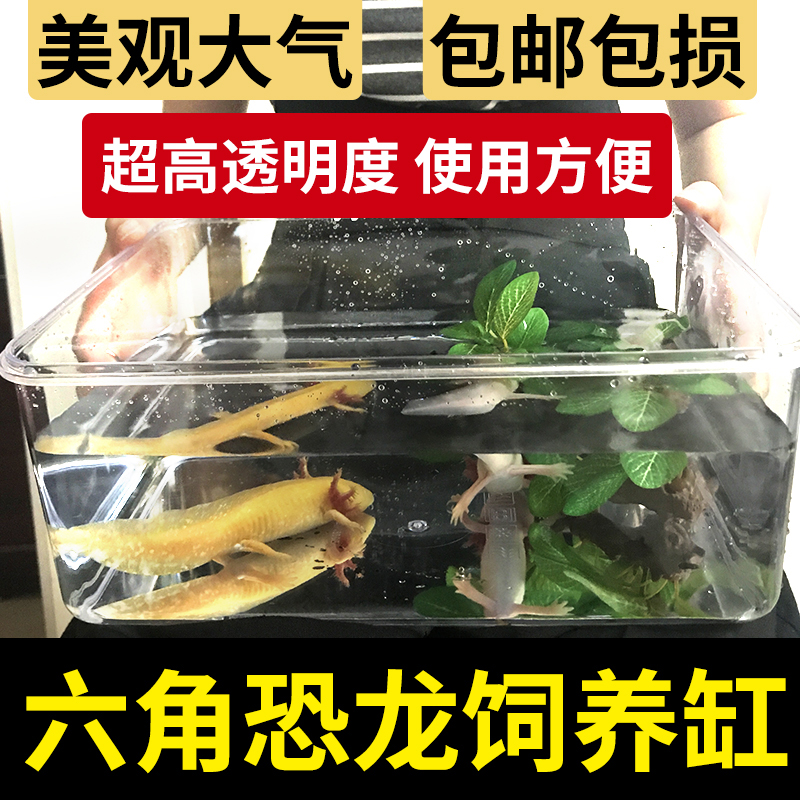 六角恐龙专用鱼缸饲养盒金鱼锦鲤活体亚克力高透明超大容量乌龟缸