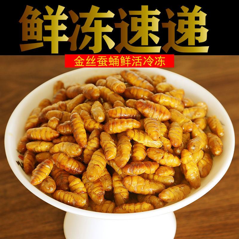 金丝蛹新鲜蚕蛹速冻肉质肥厚个头饱满山东特产中秋好物味道鲜美