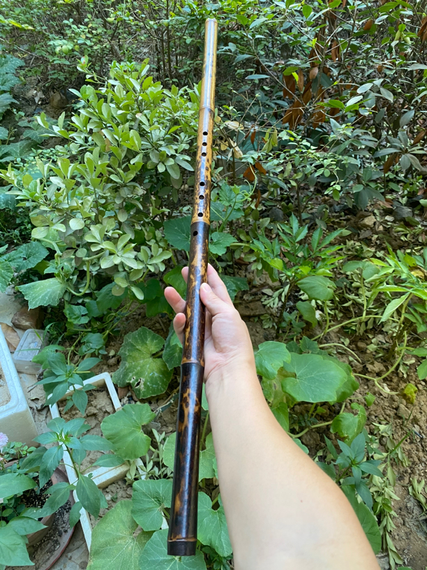 斑竹，老虎斑纹路洞箫F调