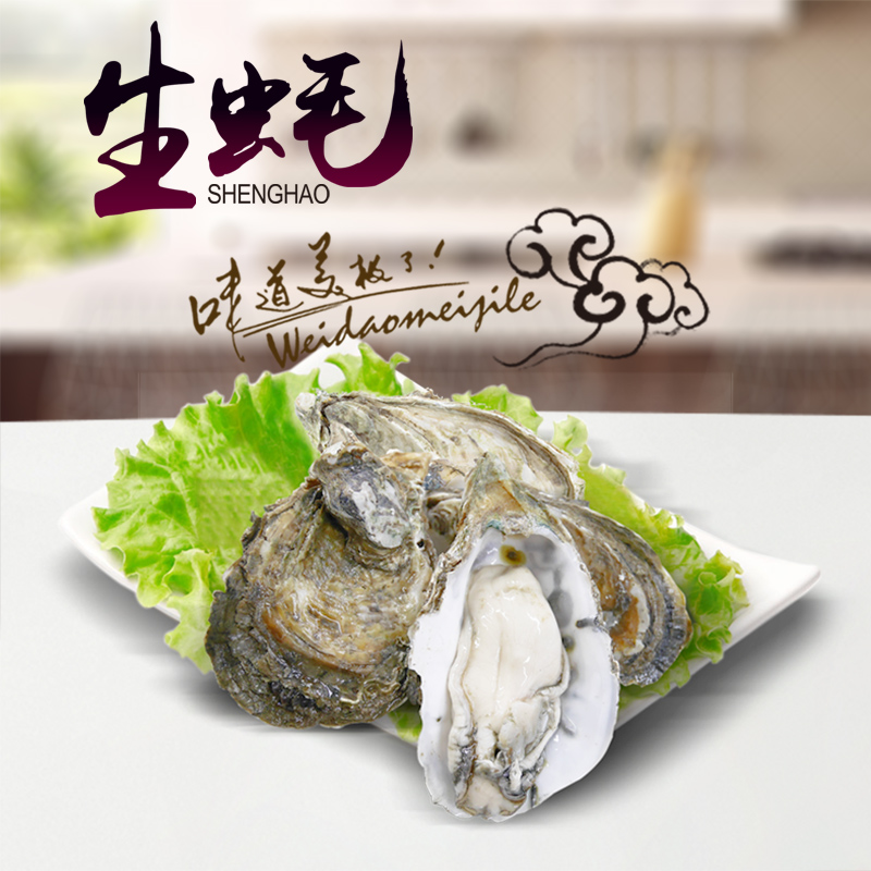 4斤刺身生蚝3两多鲜活海鲜大生蚝牡蛎肥美鲜甜肉质紧实顺丰包邮