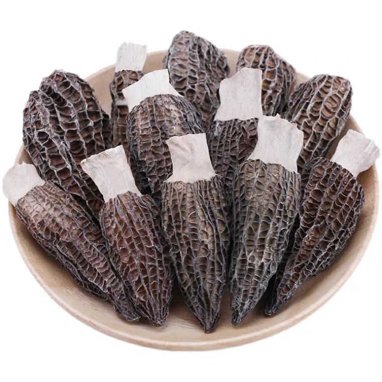 【原产地】长白山 羊肚菌