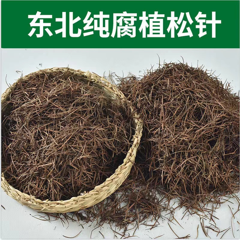 天然松针腐叶土腐熟松针酸性透气种植营养土兰花君子兰杜鹃专用
