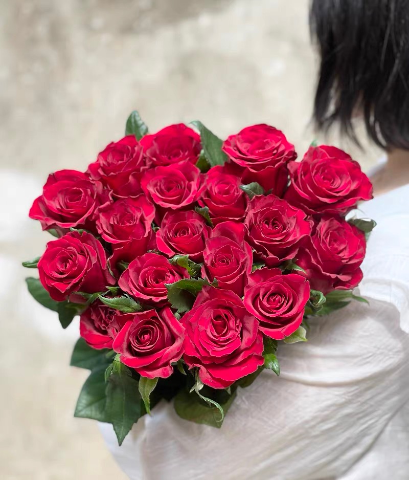 【A级传奇/红玫瑰20支 】新鲜新手开花