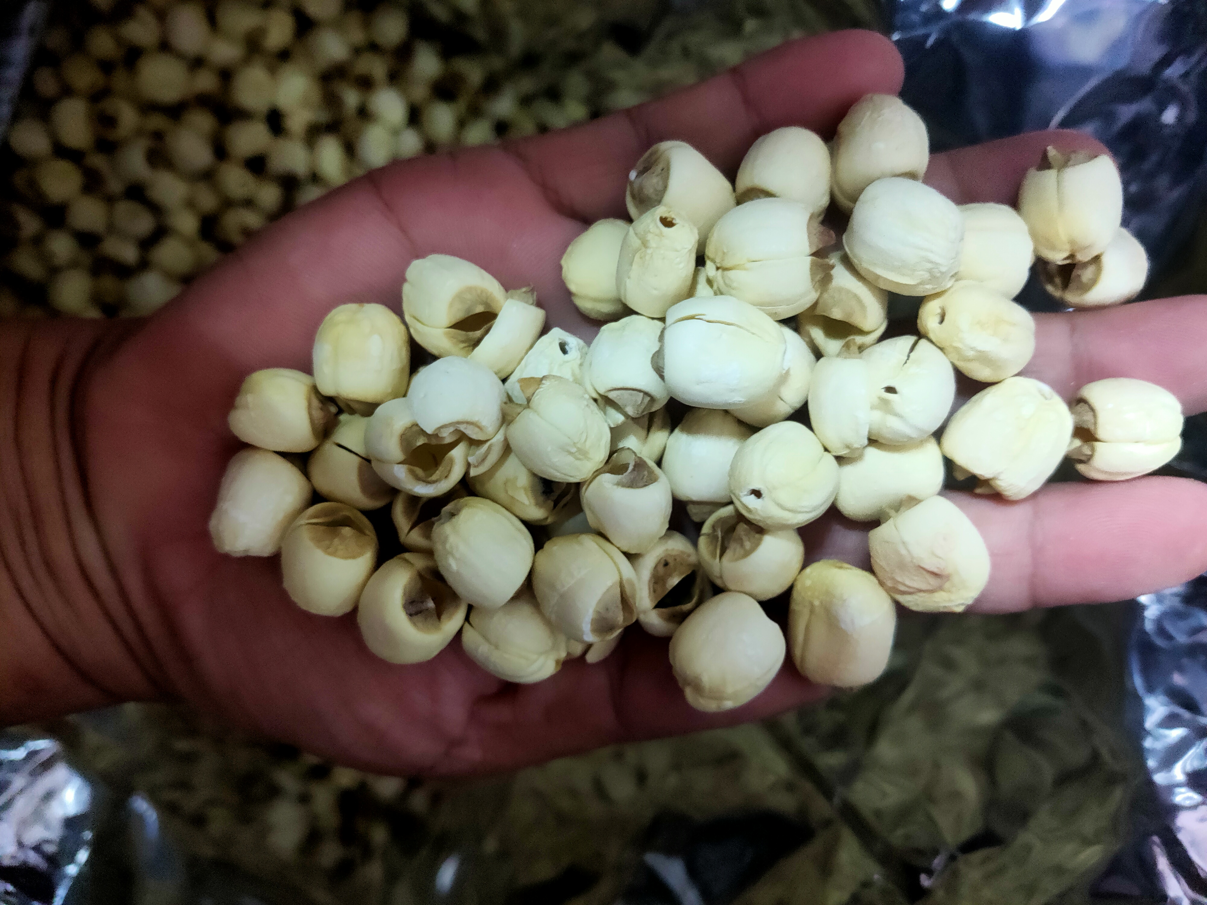 广东精品白莲500g