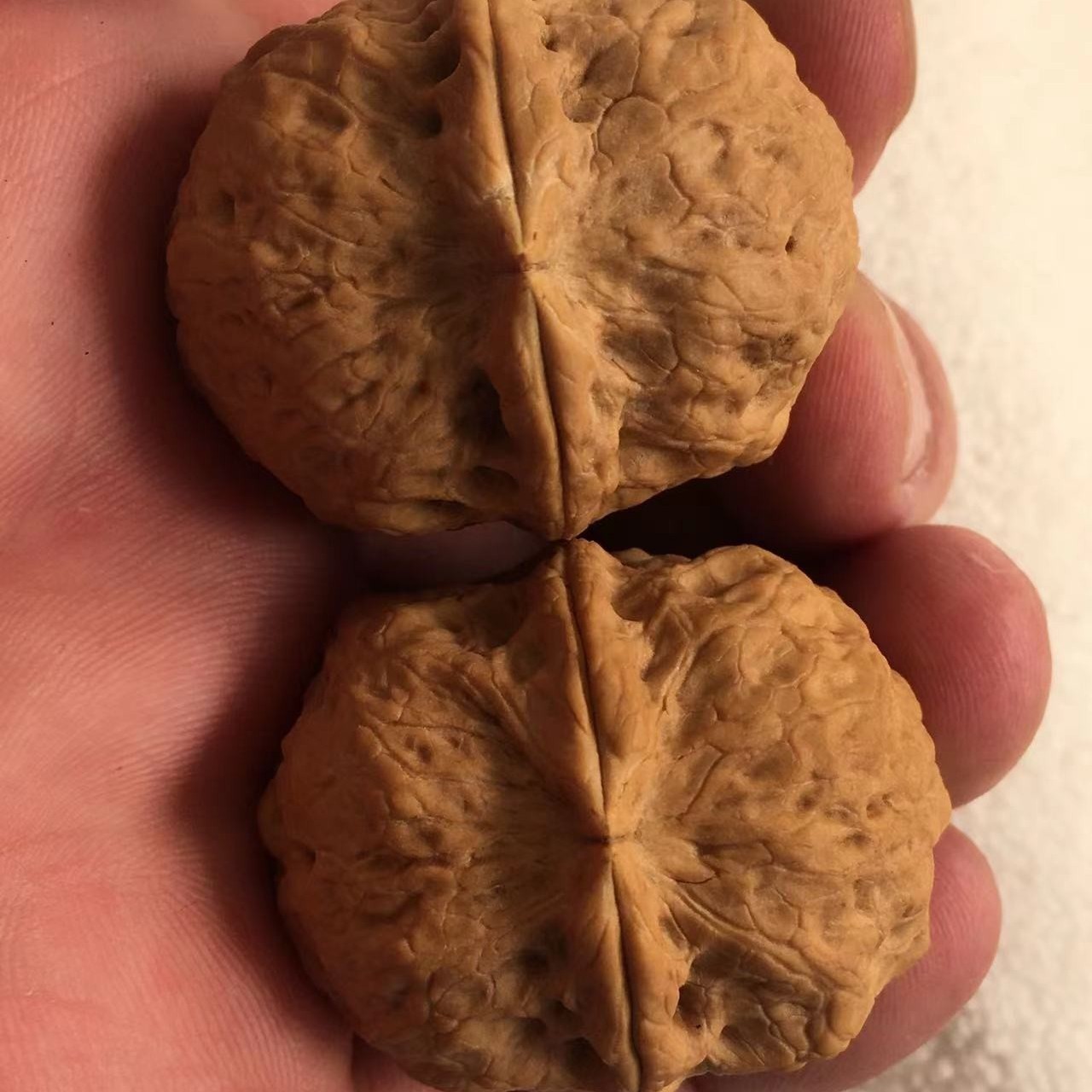 四棱核桃铁元宝狮子大肚闷尖狮子头三棱正奔白狮子手盘尺寸35左右