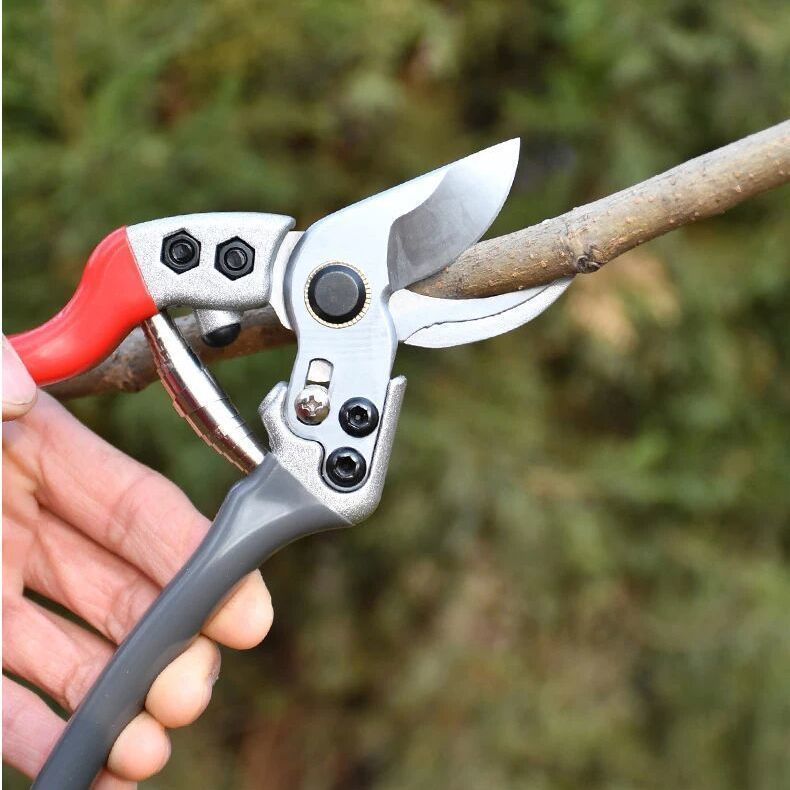 精品园林剪刀工具省力剪枝修花树剪