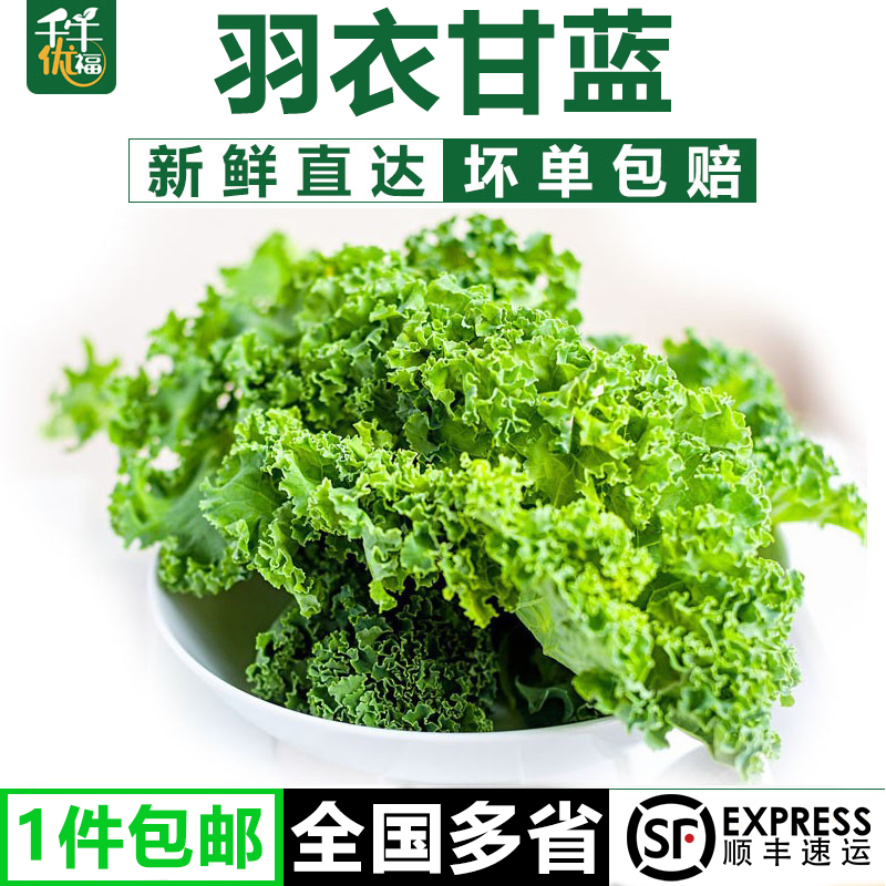 新鲜羽衣甘蓝半斤-3斤装嫩叶甘兰kale健身榨汁西餐轻食材蔬菜沙拉