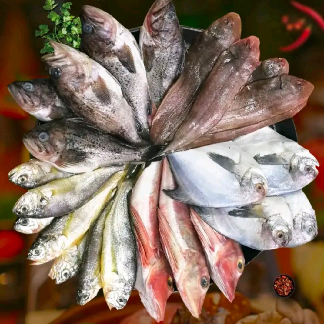 连云港  新鲜速冻 冷冻海杂鱼  净含量500g/包 