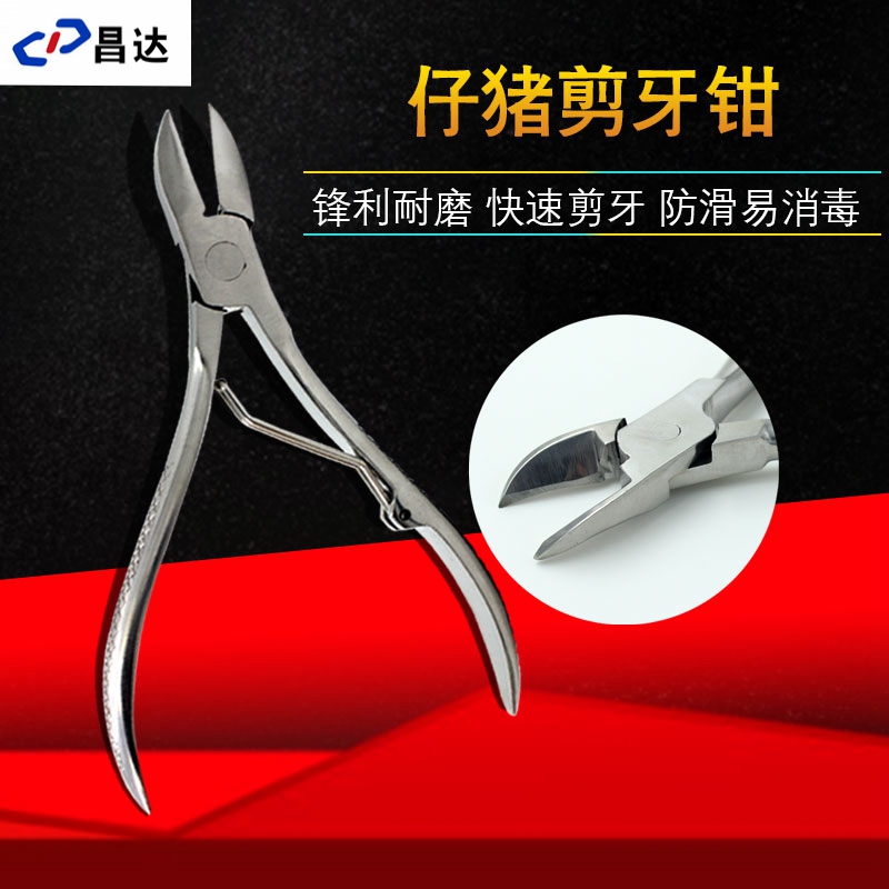 小猪剪牙钳牙齿猪用给兔子剪牙器钳子不锈钢兽用仔猪牙小猪剪牙钳