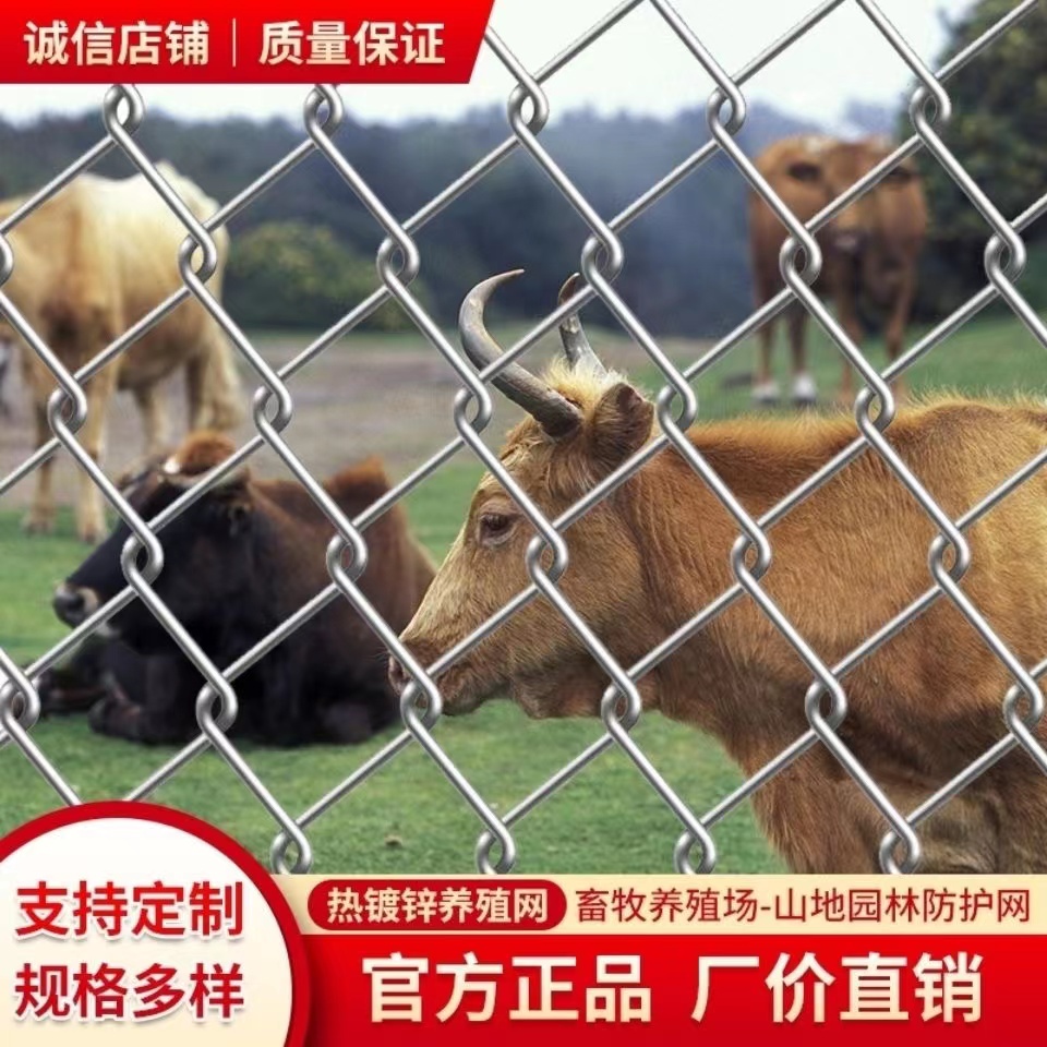 热镀铁丝网护栏网勾花网户外养殖羊牛猪钢丝网果园围栏防护网机器