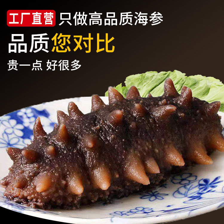 大连鲜食海参即食海参500g单个装海参辽参刺参参干货
