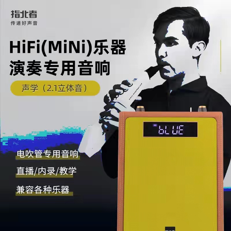 新款蓝牙乐器高音质HIFI音箱声卡直播内录吉他电吹管萨克斯无线