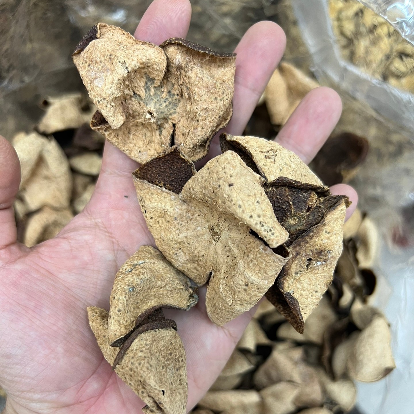 15年皮泡茶泡水煲汤