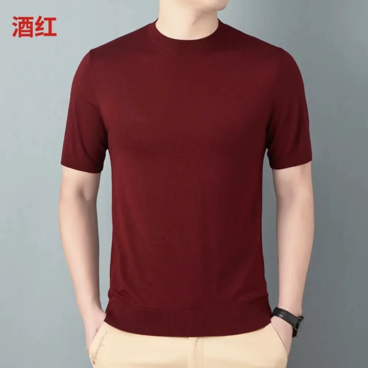 NT男士精纺短袖羊毛衫16G60支双股930JR21152