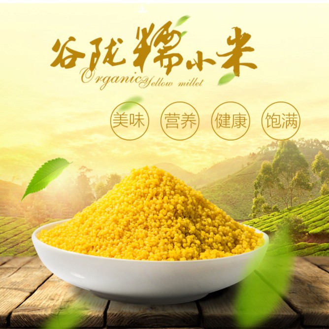 糯小米贵州黄平农家特产营养高山传统糕点小米黄粑/渣原料500g