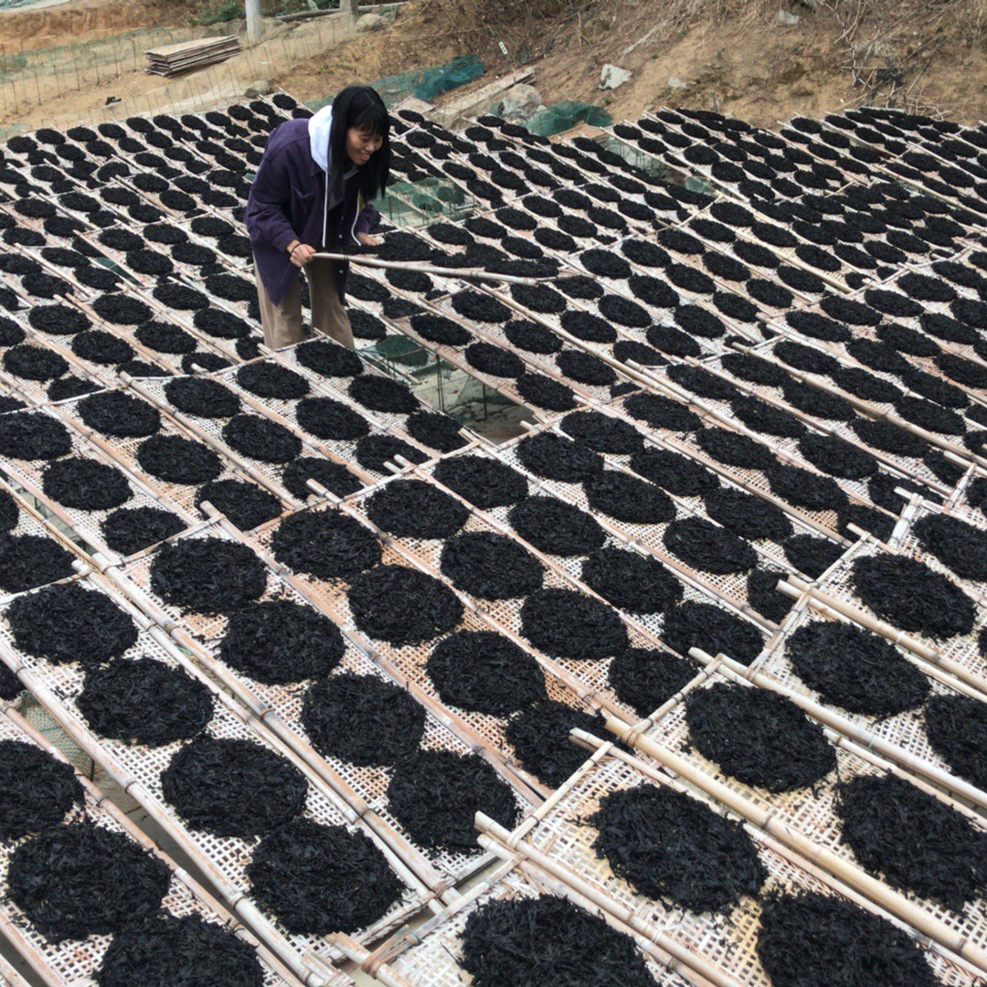 潮州饶平海山紫菜含袋250克