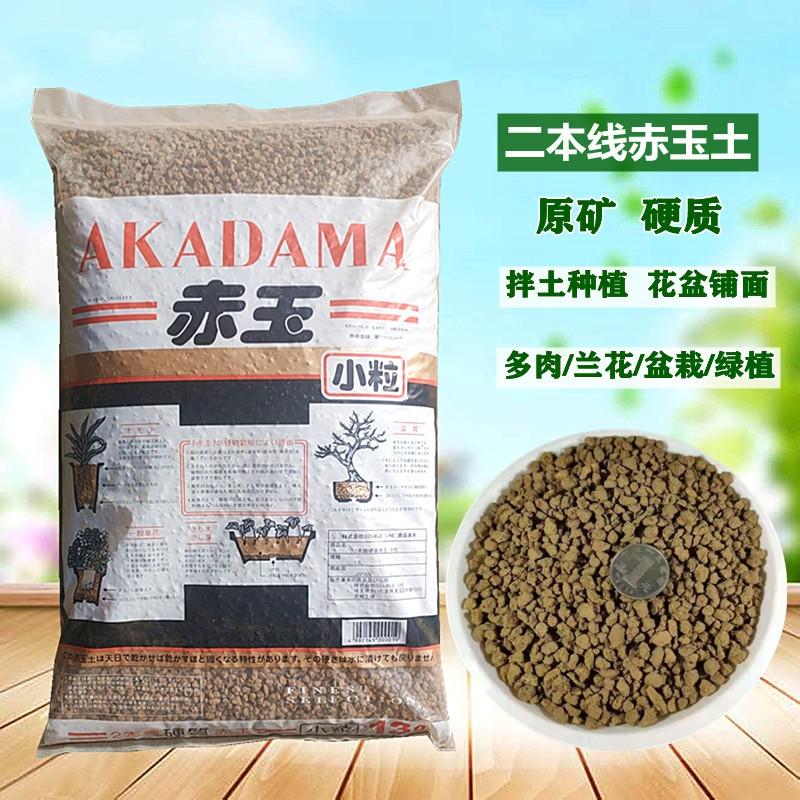 二本线赤玉土兰花铺面颗粒土多肉土锯黄缘龟垫材南非毛兰种植土