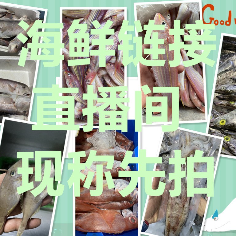 汕尾本港海鲜  3斤  5斤食用