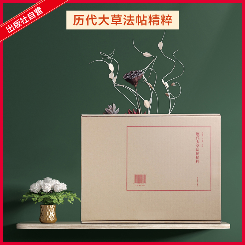 历代大草法帖精粹 盒装 四开印刷汉代唐代清代名家 草书临摹鉴赏
