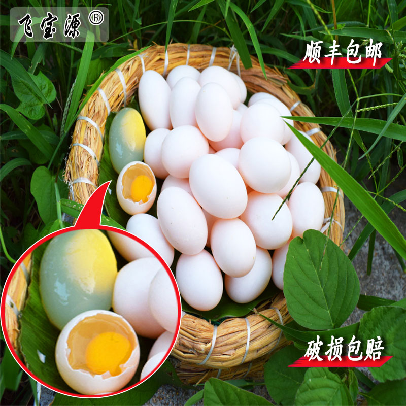 飞宝源鲜鸽子蛋杂粮散养顺丰包邮鸽蛋宝宝营养损坏包赔