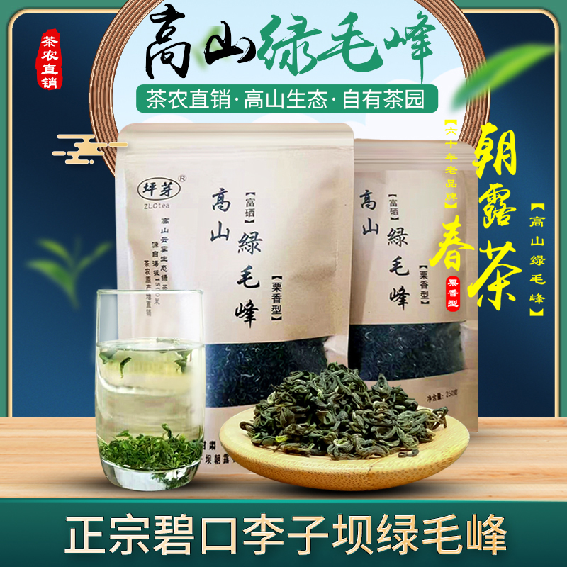 甘肃特产陇南茶叶文县碧口李子坝高山毛峰绿茶叶原产地厂家直销