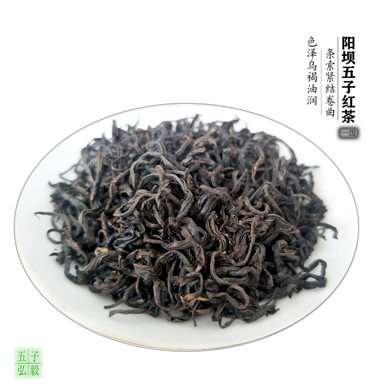 2025新茶甘肃陇南康县阳坝五子一级红茶花果香型散装250g春茶茶叶