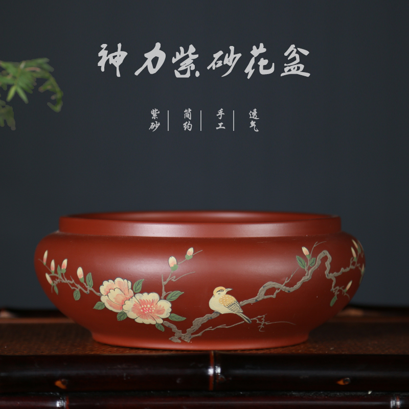 神力精品紫砂花盆大红袍手工泥绘水洗无孔水培绿植茶台桌面摆设